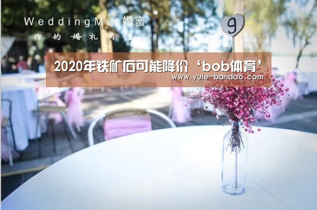 2020年铁矿石可能降价‘bob体育’