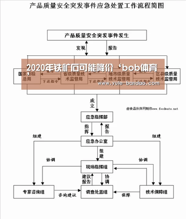 2020年铁矿石可能降价‘bob体育’(图2) bob体育直播