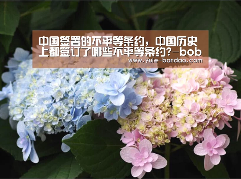 bob体育直播